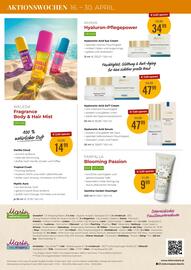 Martin Reformstark Flugblatt Seite 16