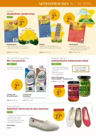 Martin Reformstark Flugblatt Seite 13