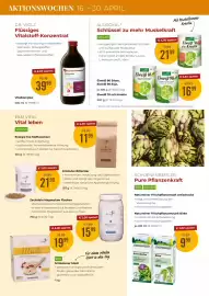 Martin Reformstark Flugblatt Seite 14