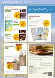 Martin Reformstark Flugblatt Seite 8