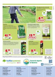 Volantino TuttoGiardino Pagina 4