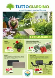 Volantino TuttoGiardino Pagina 1