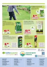 Volantino TuttoGiardino Pagina 4
