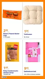 Action folder week 15 Pagina 21