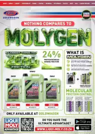 Goldwagen catalogue Page 18