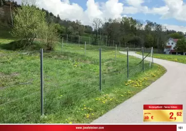 Josef Steiner Flugblatt Seite 161