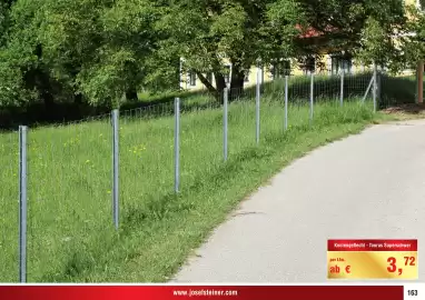 Josef Steiner Flugblatt Seite 163