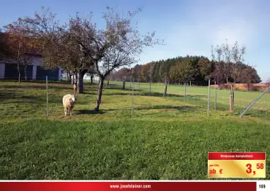 Josef Steiner Flugblatt Seite 169