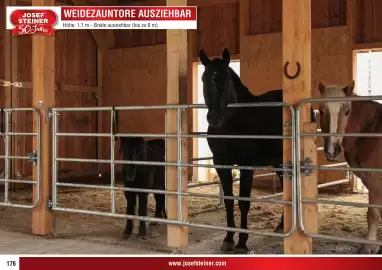 Josef Steiner Flugblatt Seite 176