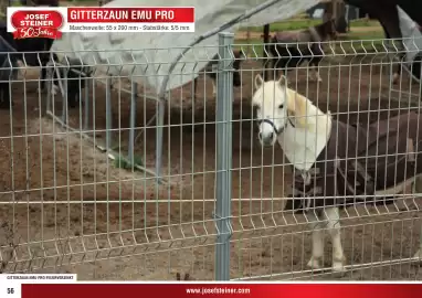 Josef Steiner Flugblatt Seite 56