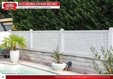 Josef Steiner Flugblatt Seite 42