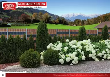 Josef Steiner Flugblatt Seite 56