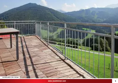 Josef Steiner Flugblatt Seite 5