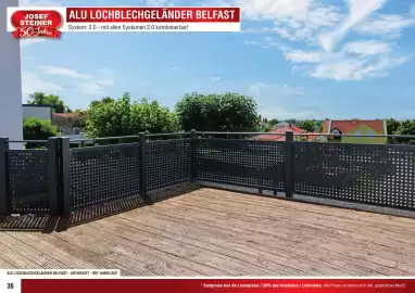 Josef Steiner Flugblatt Seite 36