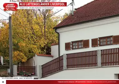 Josef Steiner Flugblatt Seite 48