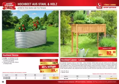 Josef Steiner Flugblatt Seite 66