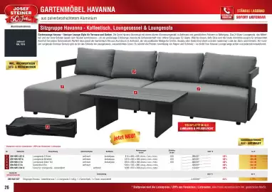 Josef Steiner Flugblatt Seite 26