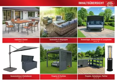 Josef Steiner Flugblatt Seite 3