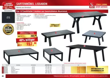 Josef Steiner Flugblatt Seite 46