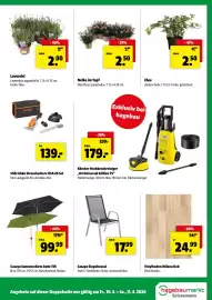 Eurogast Grissemann Flugblatt Seite 11