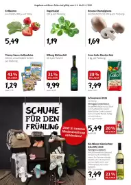 Eurogast Grissemann Flugblatt Seite 6