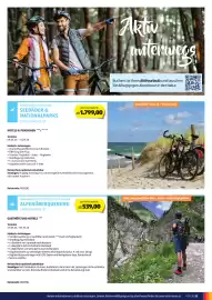 Hofer Flugblatt Seite 13