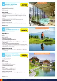 Hofer Flugblatt Seite 14