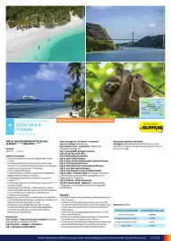 Hofer Flugblatt Seite 5