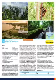 Hofer Flugblatt Seite 7