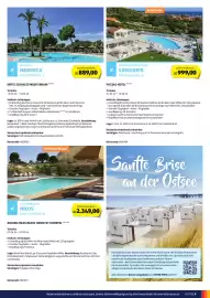 Hofer Flugblatt Seite 9