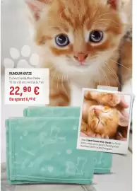 Prowin Katalog Seite 7