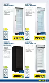 Catalog Metro Pagină 17