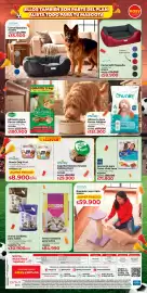 Catálogo Easy Página 12