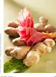 Dm Flugblatt Seite 27