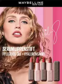 Dm Flugblatt Seite 4