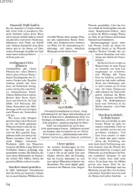 Dm Flugblatt Seite 64