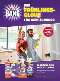 Dm Flugblatt Seite 65