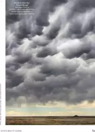 Dm Flugblatt Seite 89