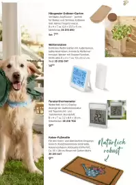 Tchibo Prospekt Seite 11