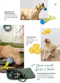 Tchibo Prospekt Seite 19