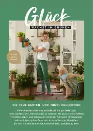 Tchibo Prospekt Seite 2