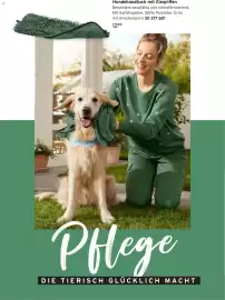 Tchibo Prospekt Seite 20