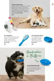 Tchibo Prospekt Seite 21