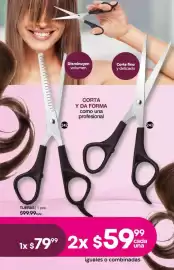 Catálogo Fuller Página 100