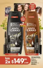 Catálogo Fuller Página 102