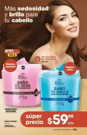 Catálogo Fuller Página 103