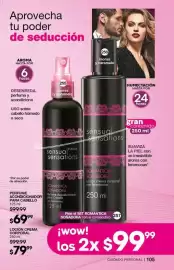 Catálogo Fuller Página 105