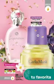 Catálogo Fuller Página 12