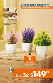 Catálogo Fuller Página 125