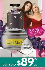 Catálogo Fuller Página 13